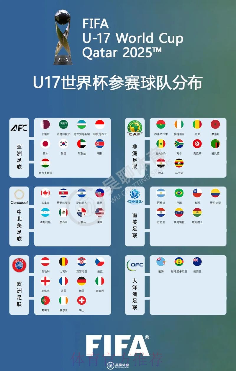 全面解析世界杯参赛球队的详细资料